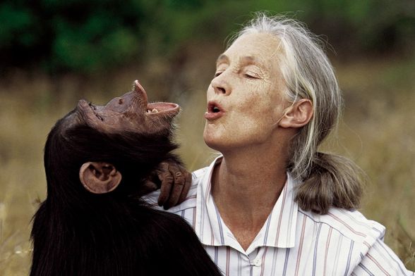 Jane Goodall