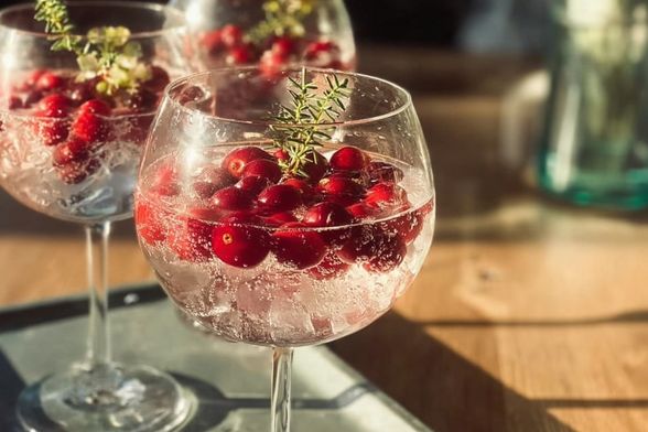 Džin tonik s brusnicama