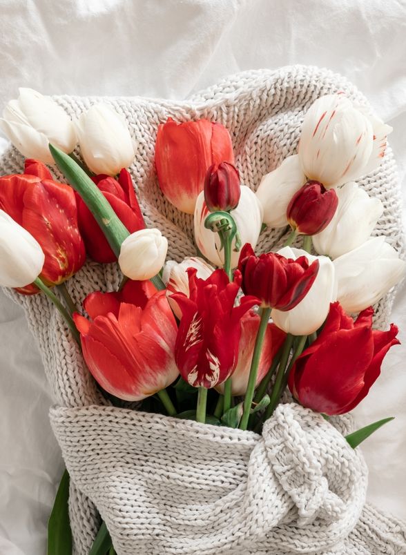 Što nam je ovog tjedna zapisano u zvijezdama?