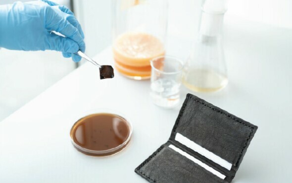 Kožni novčanik proizveden od bakterijske celuloze
