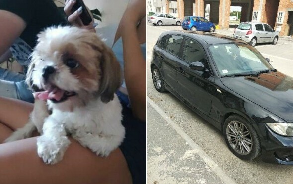 Nudi BMW poštenom nalazniku: ''Moram naći psa, djeca ne žele pričati sa mnom dok ga ne nađem''