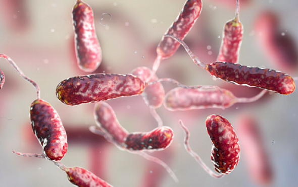 Bakterije mesožderke ubijaju kupače: Znanstvenici digli uzbunu - očekuje se da će se broj uskoro udvostručiti