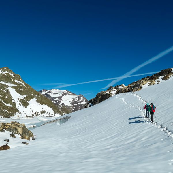 Fotograf tražio jelene, a nabasao na spektakularno otkriće staro 200 milijuna godina