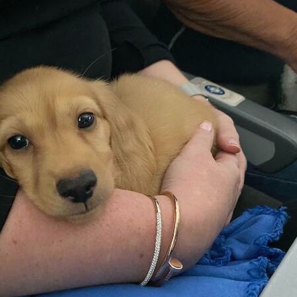 U zrakoplovima ih dočekali najslađi putnici pa sa svima podijelili prizore