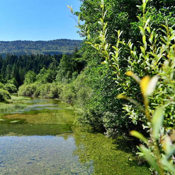Planinarska staza Izvor voda: Čarobna kružna ruta za koju vam trebaju samo gojzerice i prazna boca