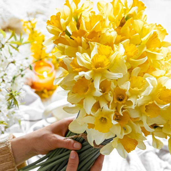 Savjeti za dugotrajnost buketa narcisa