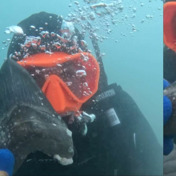 Tinejdžer pronašao "otkriće života" pod vodom