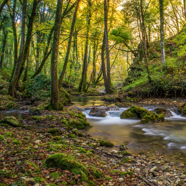 Nedaleko od Zagreba: Zeleni (k)raj koji ima sve što je potrebno za savršen izlet