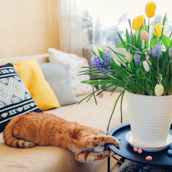 Dnevni horoskop za 6.4.