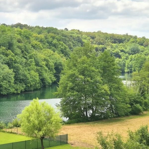 Oaza uz Mrežnicu: Na prodaju kuća kao stvorena za obiteljska druženja