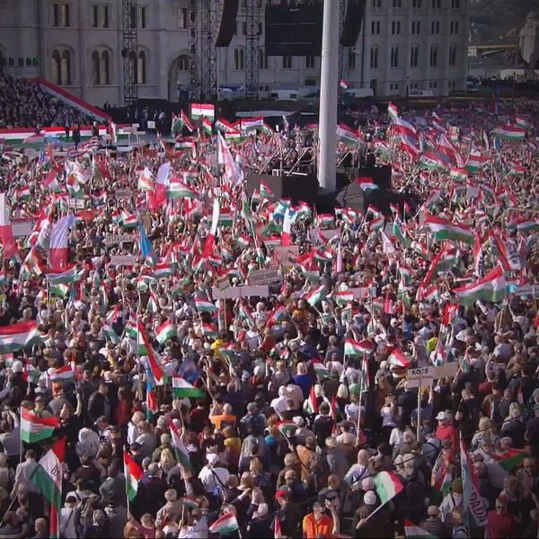 PROVJERENO Izbori u Mađarskoj