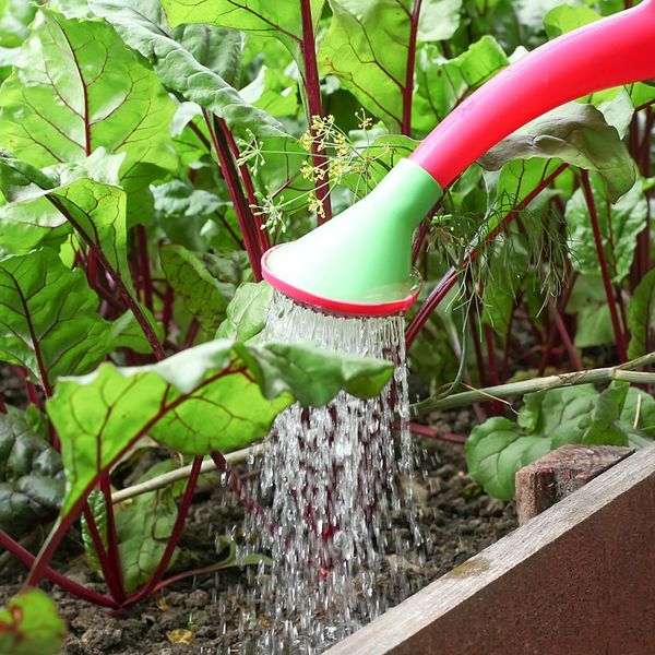 Pravilo tri sekunde za zalijevanje vrta