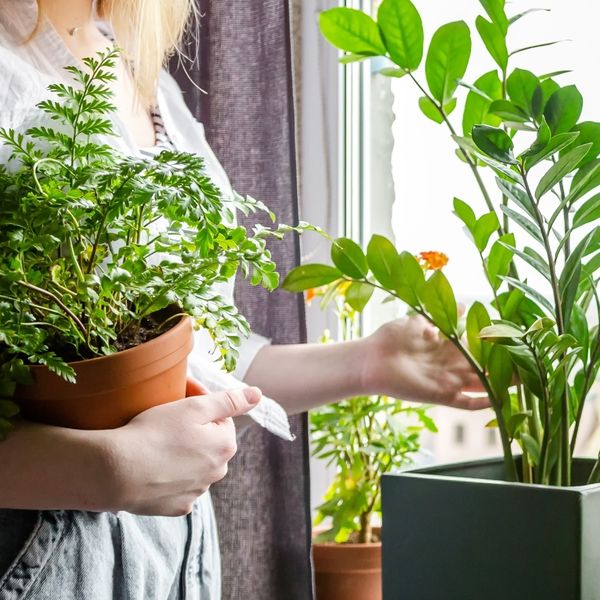 Zašto sve više ljudi želi imati što manje stvari, obaveza i stresa?