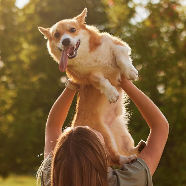 Zašto sve više ljudi bira društvo svojih ljubimaca umjesto drugih ljudi