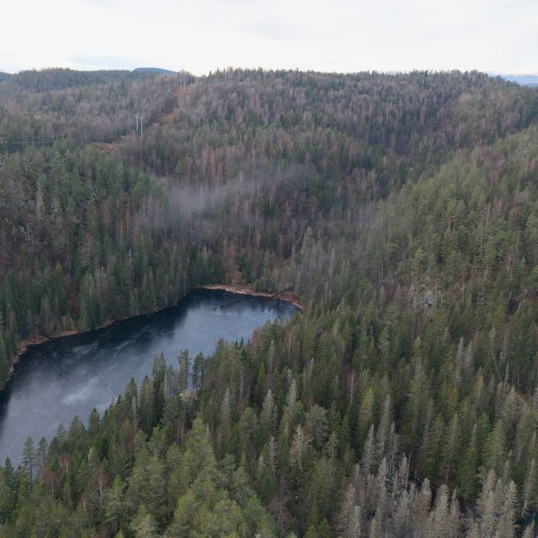 Ovo europsko nalazište rijetkih metala moglo bi pokriti trećinu potreba EU-a, ali projekt i dalje stoji