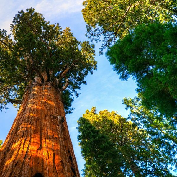 Kviz općeg znanja: 15 brzopoteznih pitanja koja će vam sjesti kao... šamar