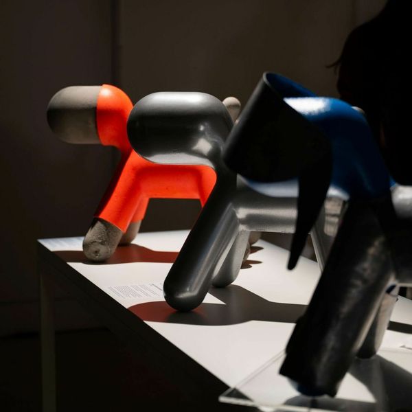 U Orisu održana izložba i humanitarna akcija pod nazivom "Puppy Challenge"