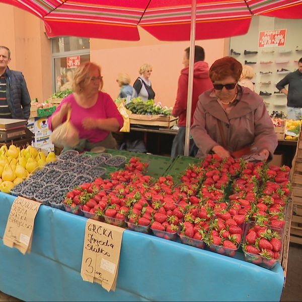 Raste cijena jagoda: Ugrožena je domaća proizvodnja zbog uvoza