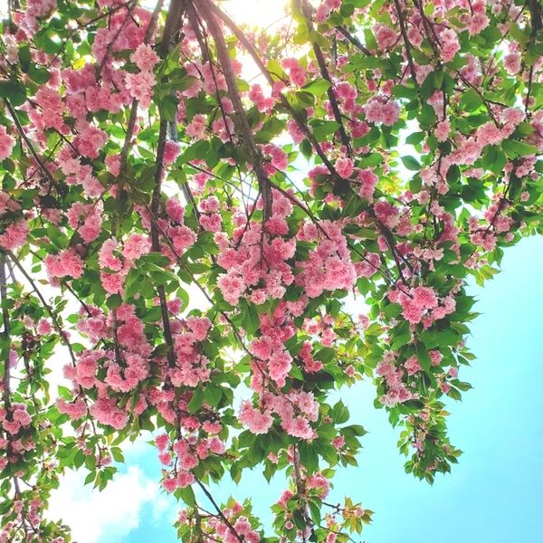 Dnevni horoskop za 20.4.