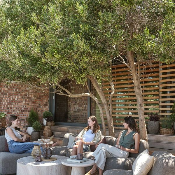 Vrt kao lifestyle: JYSK otkriva trendove koji brišu granice doma