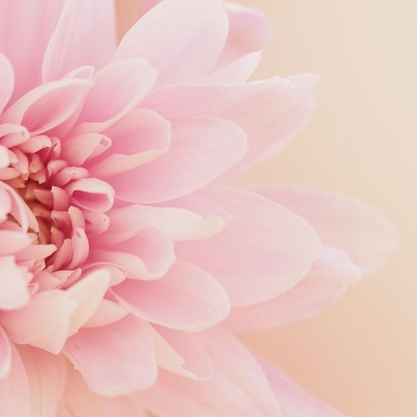 Samostalne i ambiciozne: Kakve su osobe koje nose ime Tea?