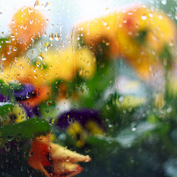 Vremenska prognoza: Prvi dio tjedna hladniji, uz kišu