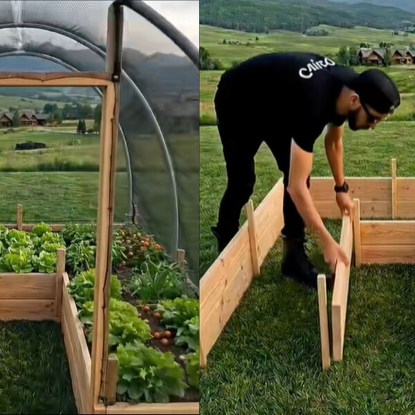 Genijalan trik kako do plastenika u dvorištu osvojio društvene mreže