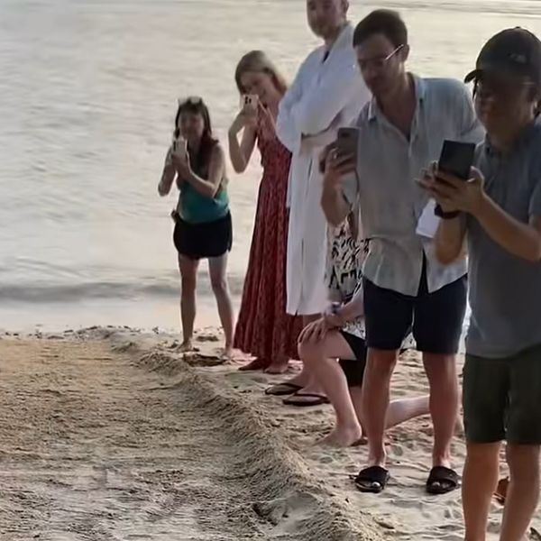 Prizor s plaže oduševio turiste, ovakvo što pamti se do kraja života