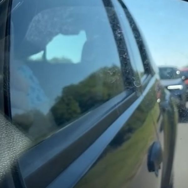 "Nećeš, razbojniče!" Snimka s A1 izazvala burnu raspravu