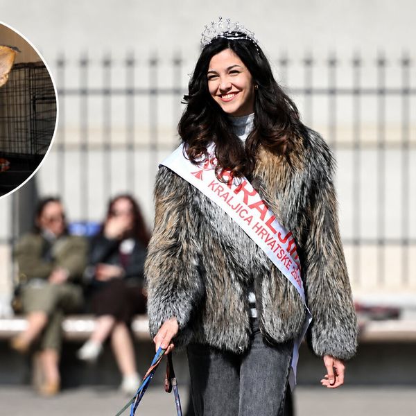 Lana Lourdes Rupić udomila psa spašenog s imanja na Učki pa ga vratila