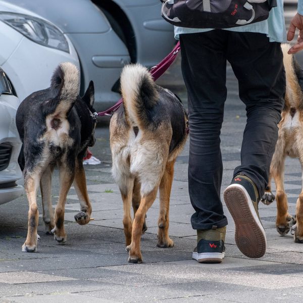 Šest poslova koje možete pokrenuti od kuće uz minimalna ulaganja
