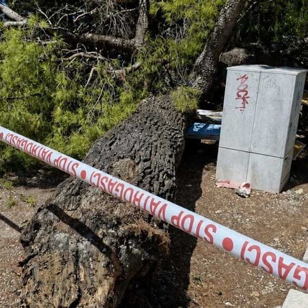 Stablo se srušilo na kupače u Crikvenici: Više ozlijeđenih