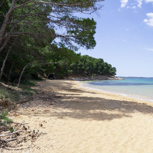 Jedna od najljepših u Hrvatskoj: Zlatna plaža s dovoljno hlada i tirkiznim morem