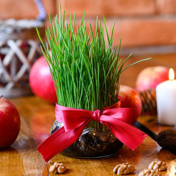 Što simbolizira pšenica koju sijemo na Svetu Luciju?