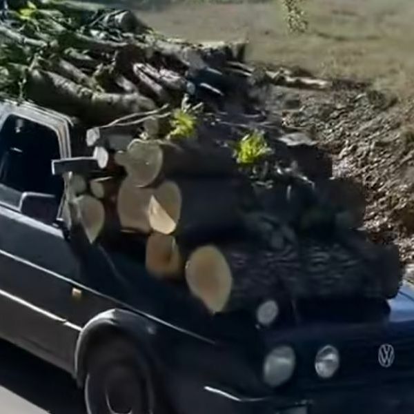 Ovo bi trebali vidjeti Nijemci": Još jedan prizor s Balkana postao hit na društvenim mrežama