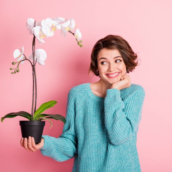 Pokloni za prijateljicu koja obožava orhideje