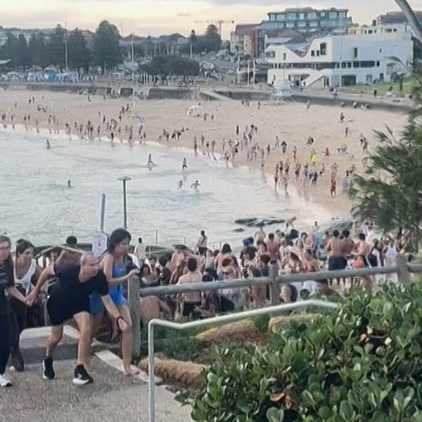 Pucnjava u Australiji