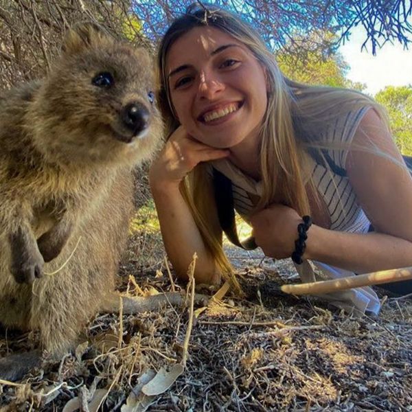 Najslađi lopovi! Vratile se u šator i naišle na pravu najezdu, ovako šarmantne lopove nisu očekivale