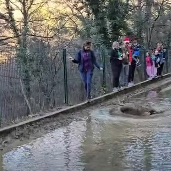 Školarci iz Rijeke doživjeli nezaboravan susret, snimka raznježila gledatelje