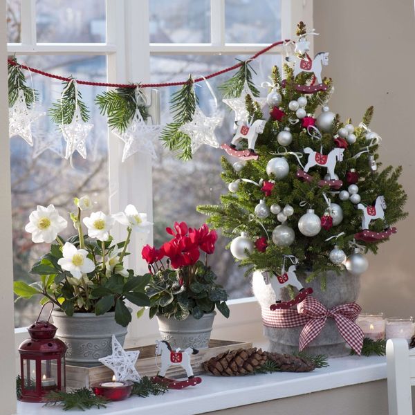 Ideje za blagdansko uređenje s bijelim cvijećem