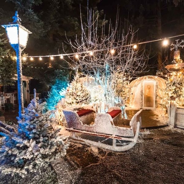 Božićna priča zagrebačkog restorana Botanist