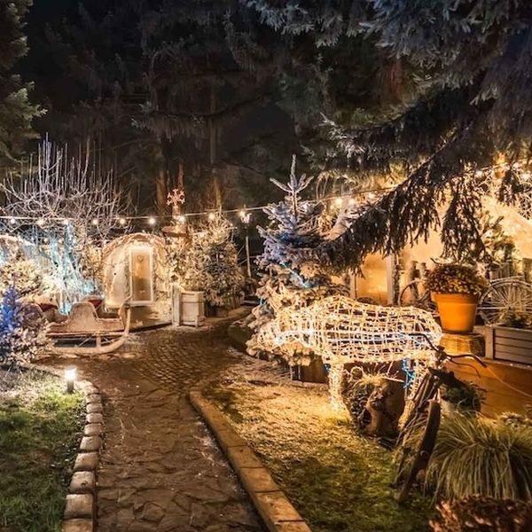 Božićna priča zagrebačkog restorana Botanist