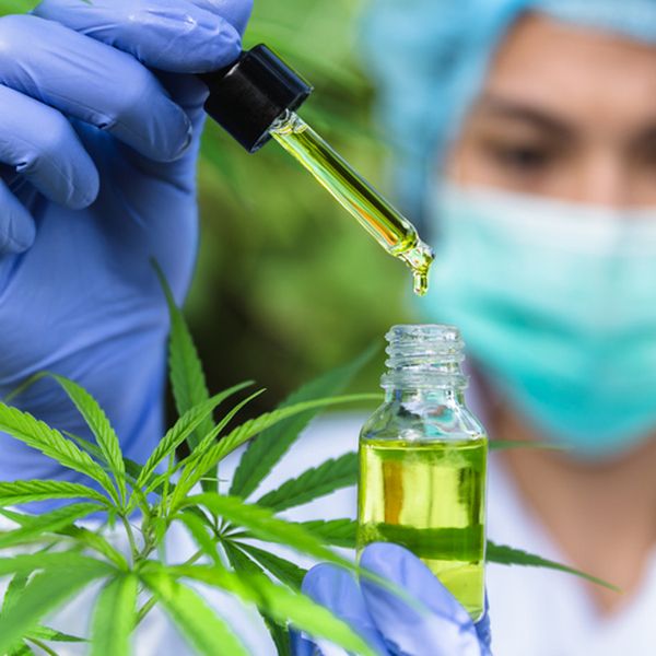 Ogromna studija otkrila nešto neočekivano u vezi medicinskog kanabisa