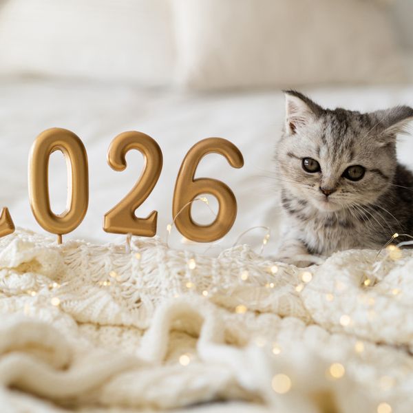 Stvari koje biste u 2026. trebali ostaviti iza sebe