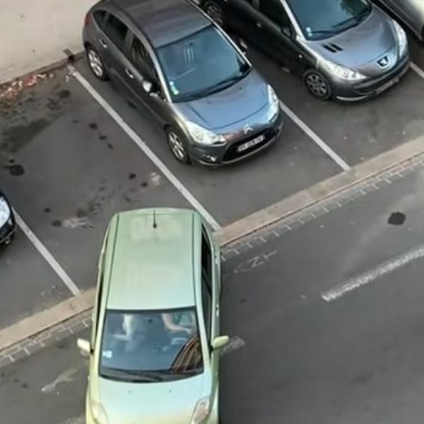 Snimka parkiranja skupila milijune pregleda: Svi srčano navijali za vozača, a onda…