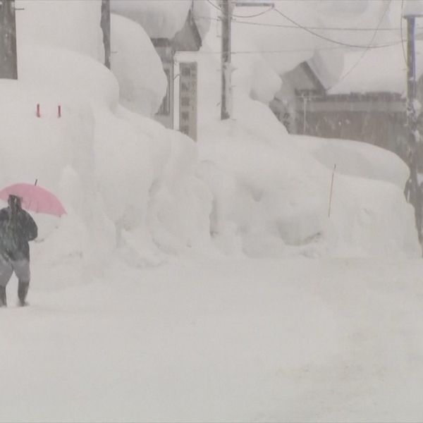 Zimska oluja prijeti SAD-u i Japanu