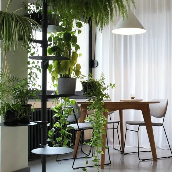 Super Prostor: Beogradski stan od 75 kvadrata u koji je bogato zelenilo unijelo toplinu