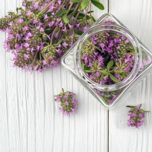 Mirisna, čudesna i ukusna: Znate li za što je sve dobra majčina dušica?