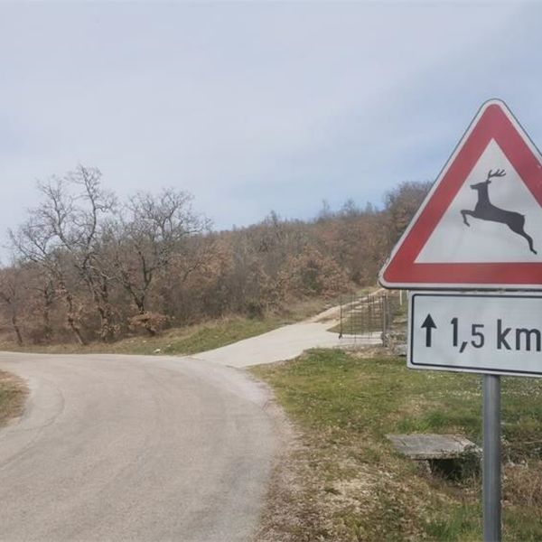 Izmjene Zakona o lovstvu: Domaćim udrugama prednost, zakup se produljuje na 20 godina