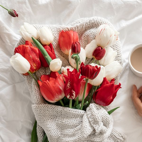 Tjedni horoskop od 16. do 23. veljače